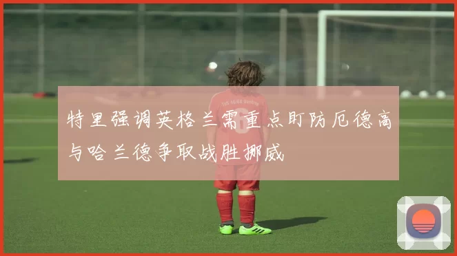 特里强调英格兰需重点盯防厄德高与哈兰德争取战胜挪威