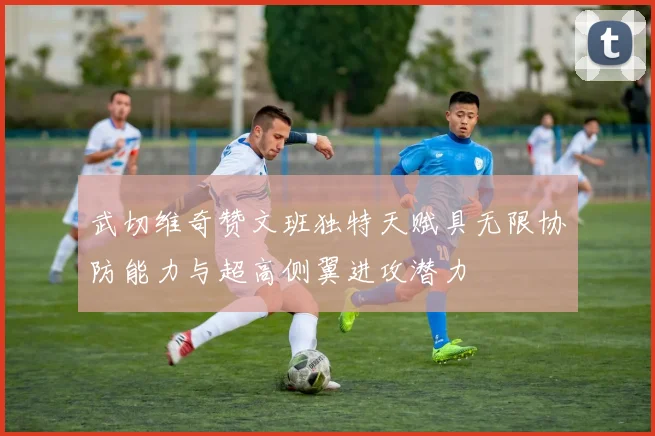 武切维奇赞文班独特天赋具无限协防能力与超高侧翼进攻潜力